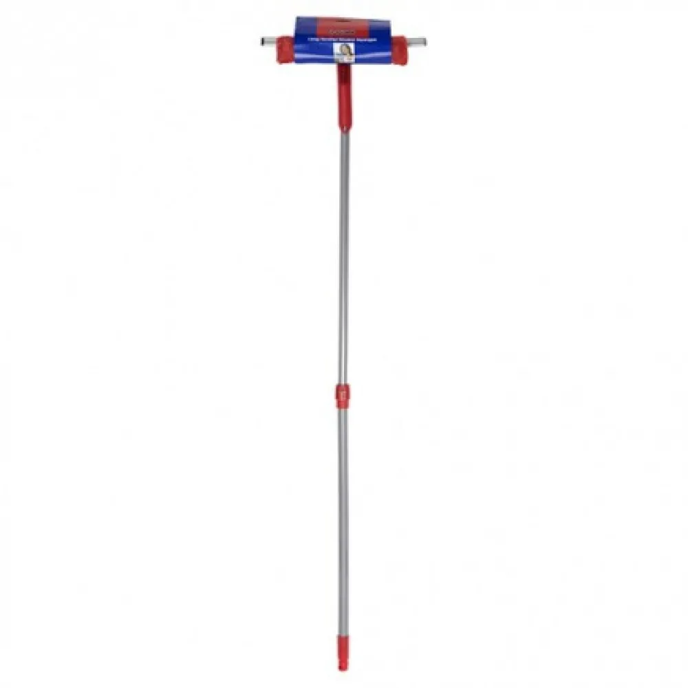 Window Squeegee & Extender