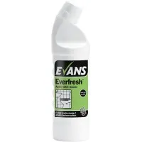 Evans Everfresh Cleaner Apple 1l X 6