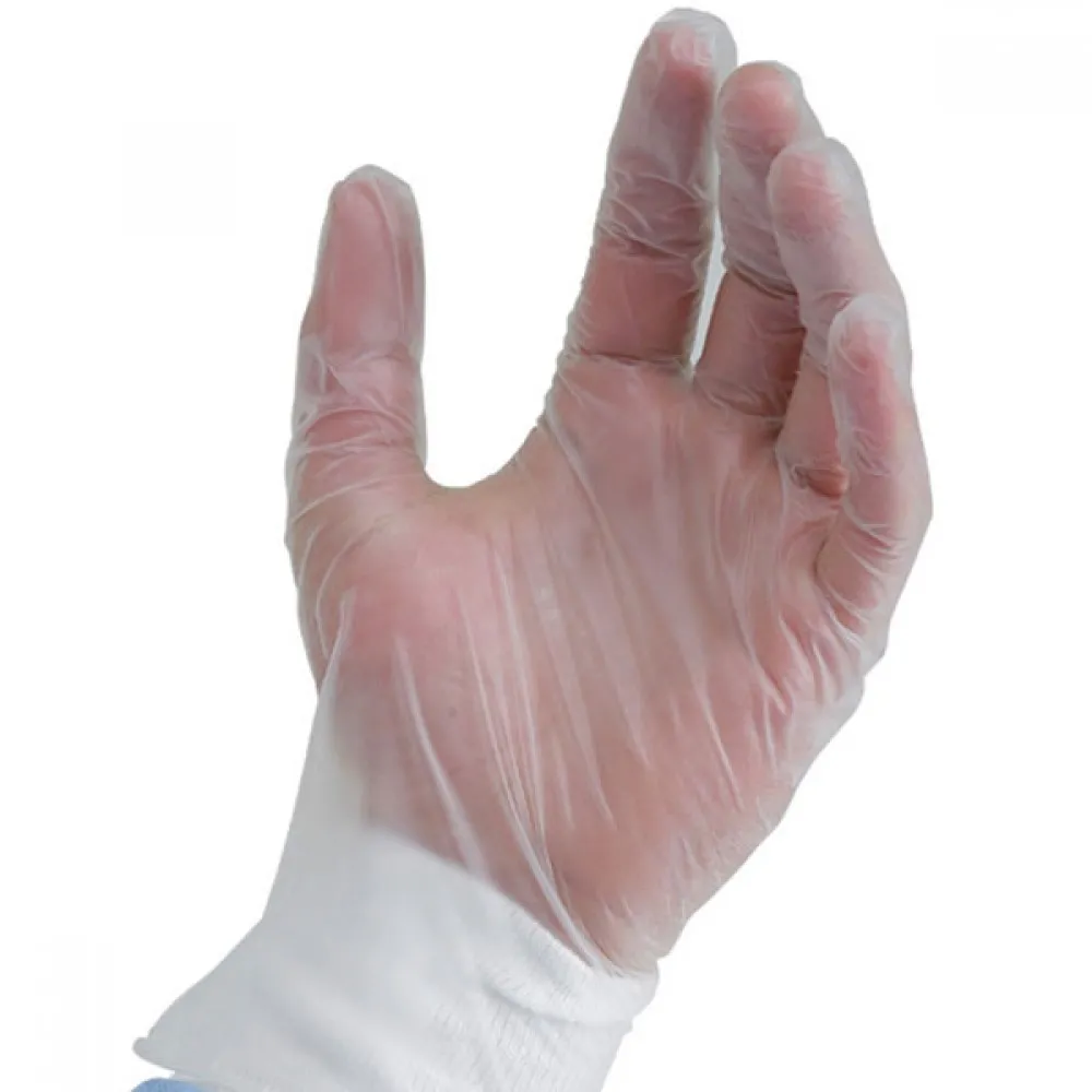 Vinyl Gloves Clear Large Powdered X 100