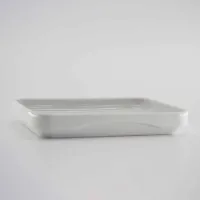 Eco Single Serve Large Dish 1/6 Gn