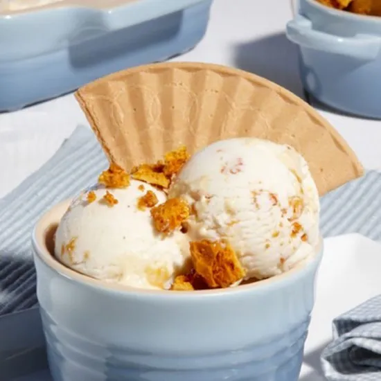 Ice Cream Honeycomb in Bowl with Wafer