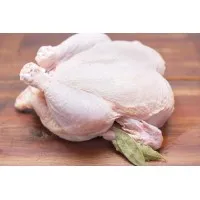 Fresh Whole Chicken 1.6kg X 50