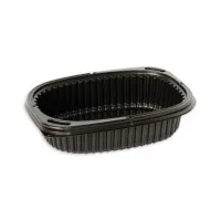 Hot Food Container 600ml X 480