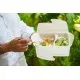 Bepulp 2 Part Meal Box 500/300ml X 150