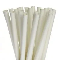 Compostable White Paper Straw X 250
