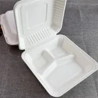 Bagasse 3 Part Large Meal Box X 200