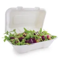 9x6 Bagasse Meal Box X 250