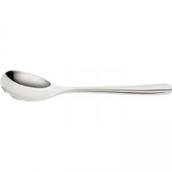 Stainless Steel Elite Tea Spoon 18/0 