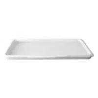 White Ceramic Gastro 1/1 X 25mm