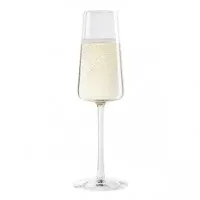 Power Champagne Flute 8.5oz X 6