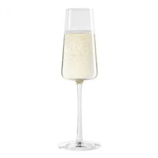 Power Champagne Flute 8.5oz X 6
