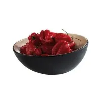 Aps Frida Black Bowl 25cm H: 8 / 11cm