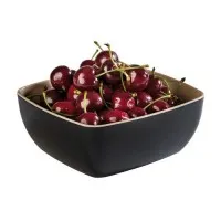 Aps Frida Black Gn 1/6 Bowl Frida           176x162cm