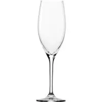 Classic Champagne Glass 8.5oz X6