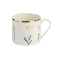 Botanical Cup 18cl X 6