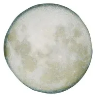 Rustico Selene Presentation Plate 31 Cm X 6
