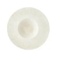 Tense Wide Rim Gourment Plate 25cm/9.8''  X  4