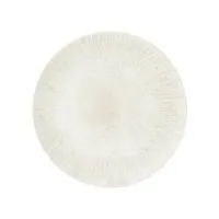 Tense Coupe Plate 24cm/9.5''  X  12