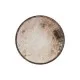 Forno Coupe Plate 23cm X 12
