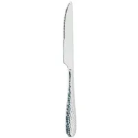 Echo Steak Knife 18/0 X 12
