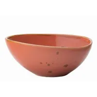 Earth Cinnamon Bowl 8.5'' (21.5cm) X 6