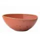 Earth Cinnamon Bowl 8.5 (21.5cm) X 6