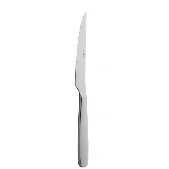 Steak Knife 18/10 X 12