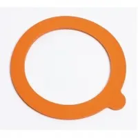 Small Replacement Seals X 10