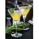 Primeur Martini 8.5oz (24cl) X 24