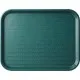 Green Cafe Tray