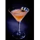 Timeless Vintage Martini 8oz (23cl) X 12