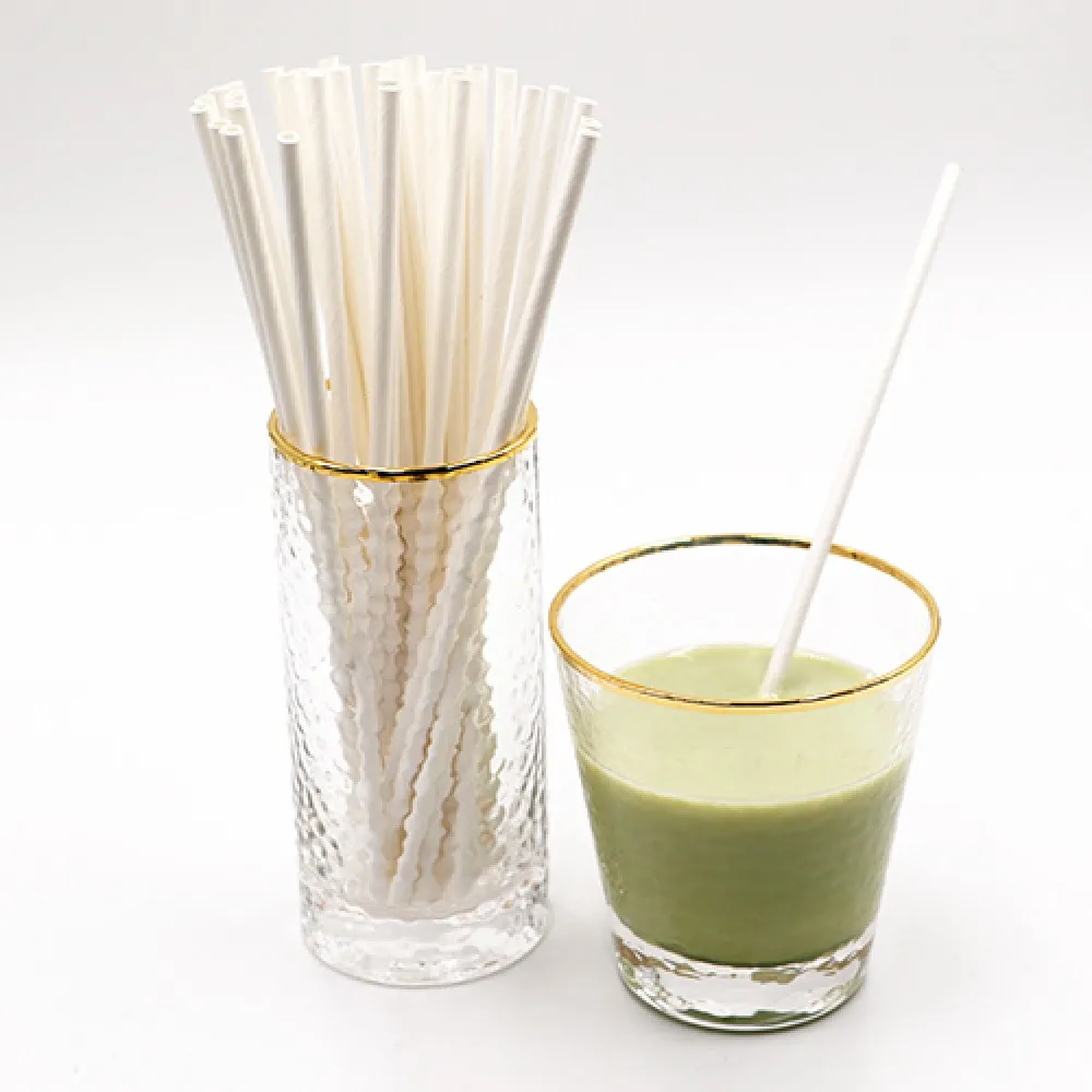 Biodegradable Straws White Paper 8'' X 250 X 24