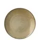 Lichen Plate 9.75 (25cm) X 6