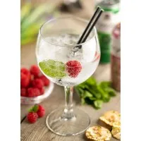 Moda Toughened Gin 20oz (57cl) X 24