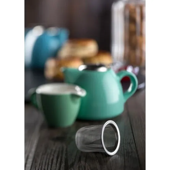 Barista Teapot - Spare Strainers X 12