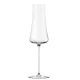 Stem Zero Ion Shield Champagne Glasses