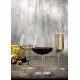 Stem Zero Ion Shield Champagne Glasses