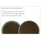 Pistachio Plate 11.25 (28.5cm) X 6
