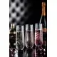 Raffles Lines Champagne 10.5oz (30cl) X 6