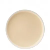 Forma Vanilla Plate 9.5'' (24cm) X 6