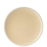 Forma Vanilla Plate 10.5'' (26.5cm) X 6