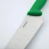 Hygiplas Cooks Knife  Green - 10''