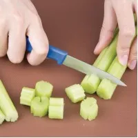 Hygiplas Paring Knife Blue - 3''