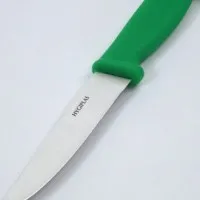 Hygiplas Vegetable Knife Green - 4''