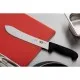 Victorinox Fibrox Butcher Steak Knife - 10''