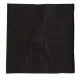 Fasana Black Napkin 2ply 1/4fold 250x250mm X 2000