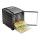 Buffalo 10 Tray Dehydrator With Timer And Door