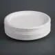 Fiesta Green Compostable Bagasse Plate 10 X 50''
