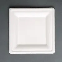 Fiesta Green Square Bagasse Plate 6 X 50''