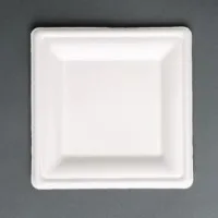 Fiesta Green Square Bagasse Plate 8 X 50''